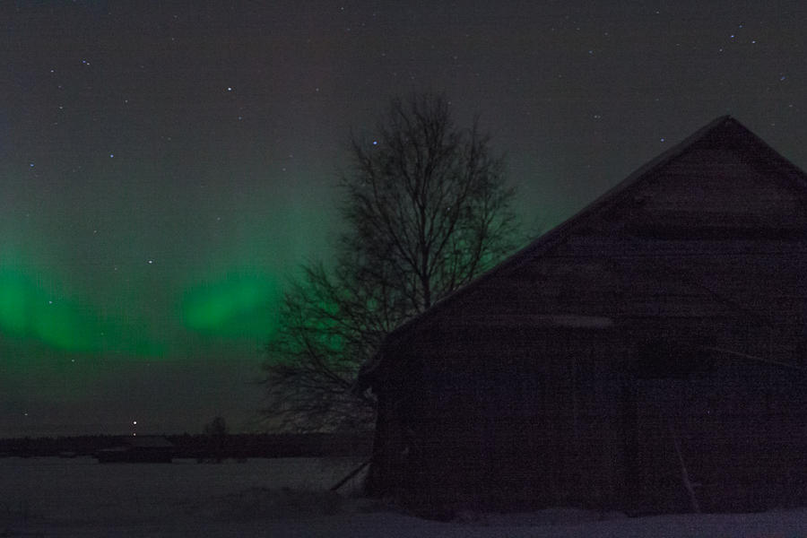 Nature Photograph - Aurora Borealis 1 by Jukka Heinovirta