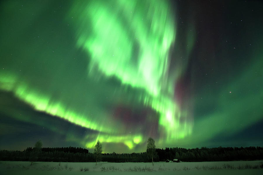 Aurora Borealis In Finland Photograph by Mikko Palosaari