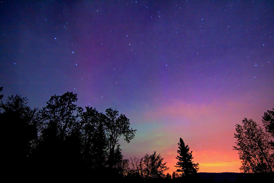 Aurora Borealis in Maine  by Barbara West