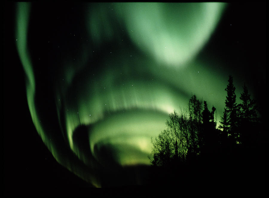 Aurora Borealis Photograph by Jack Finch/science Photo Library