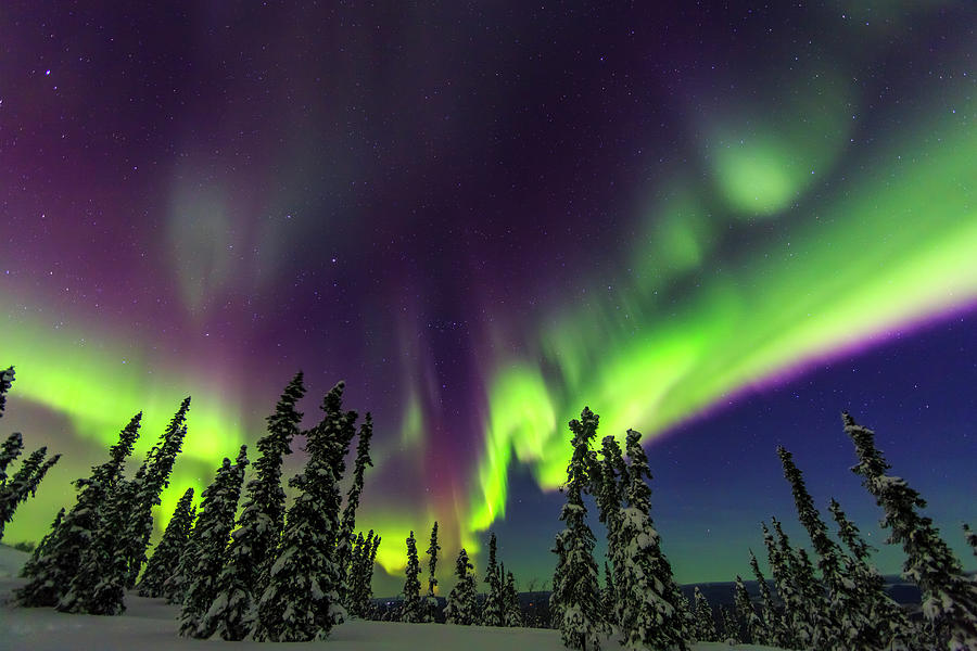 Winter Photograph - Aurora Borealis, Northern Lights by Stuart Westmorland