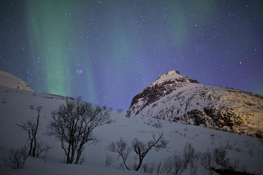 Aurora Borealis Northern Lights Photograph by Tim Graham