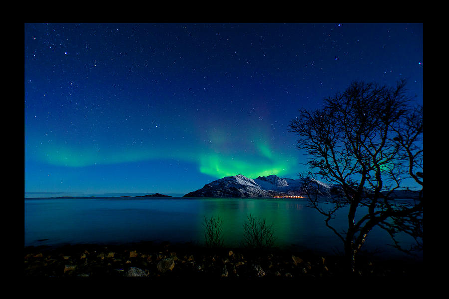 Aurora Borealis over a Norwegian Fjord Photograph by Aurora Addicts ...