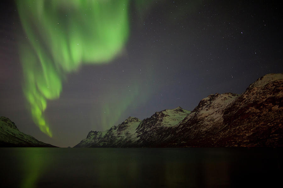 Aurora Borealis Over Ersfjordbotn Photograph by Antonyspencer