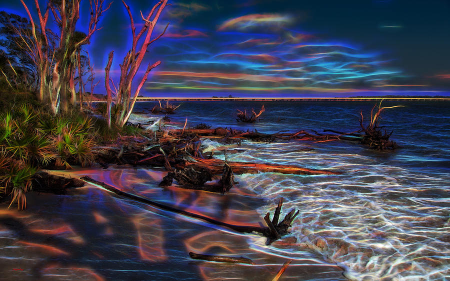 Aurora Borealis Over Florida Photograph by John M Bailey