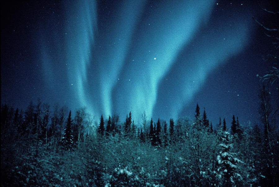 Aurora Borealis Photographed From Alaska Photograph by Jack Finch/science Photo Library