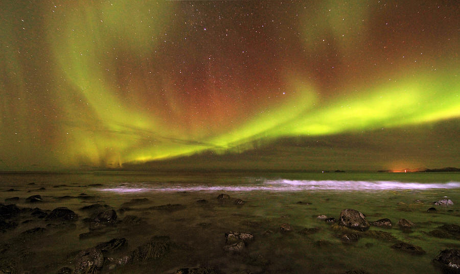 Landscape Photograph - Aurora Borealis Swimming in the ocean by June Groenseth