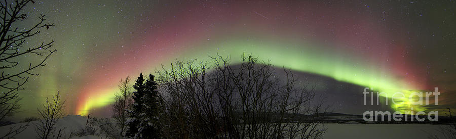 Space Photograph - Aurora Borealis With Trees And, Twin by Joseph Bradley