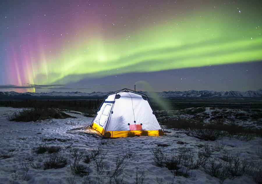 Alaska Photograph - Aurora camping by Clint Pickarsky