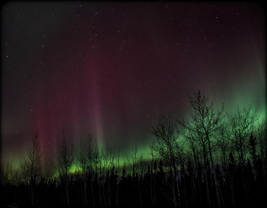 Winter Photograph - Aurora Colors by Shaleen Holmes