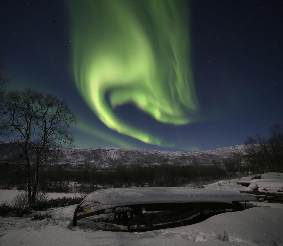 Aurora Garland Photograph by Pekka Sammallahti
