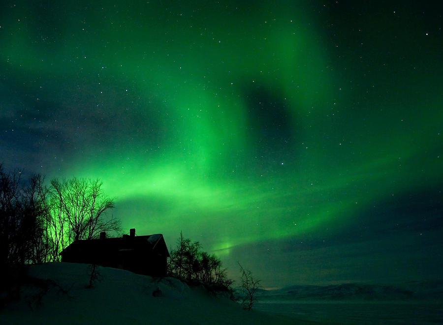 Winter Photograph - Aurora Over Lake Tornetrask by Max Waugh