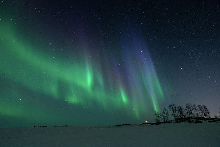 Winter Photograph - Aurora Over Small Island by Michael Ericsson