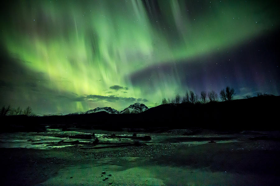 Northern Lights Photograph - Aurora Riverbed by Sam Amato