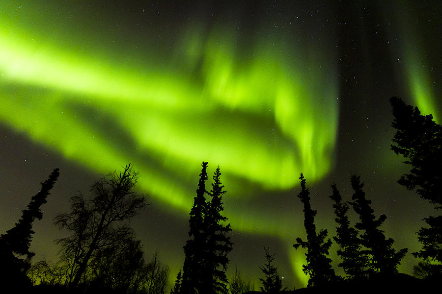 Alaska Photograph - Aurora Wave by Kyle Lavey