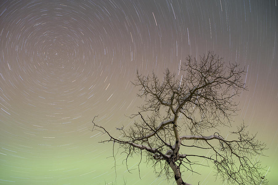 Winter Photograph - Auroras and Polaris by Tim Grams