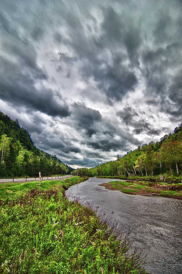 AuSable River 5297 Photograph by Guy Whiteley