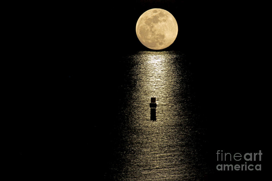 Auspicious Moon Photograph by Bob Hislop