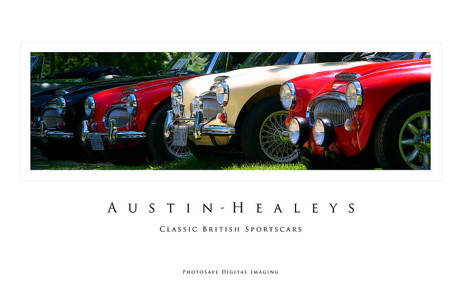 Car Photograph - Austin-Healeys by Paul Wash