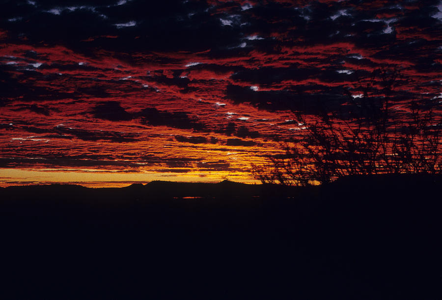 Australia - Desert Sunrise Photograph by Jacqueline M Lewis