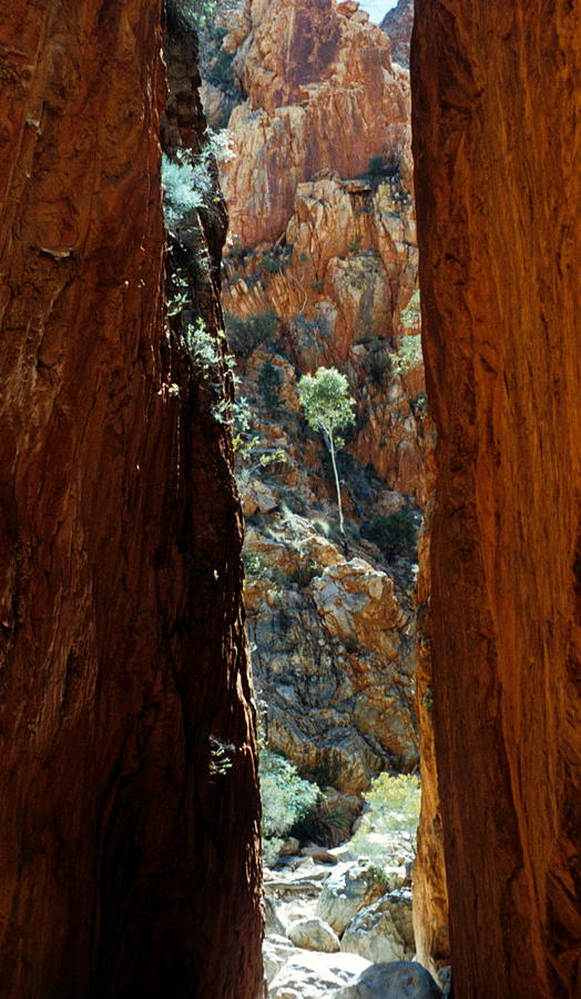 Australia - Standley Chasm Photograph by Jacqueline M Lewis