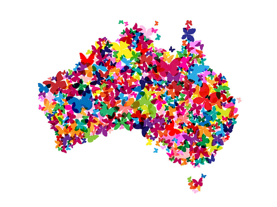 Butterfly Digital Art - Australia Butterfly Map by Michael Tompsett