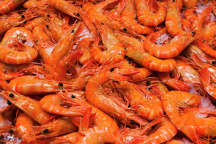 fish market shrimp