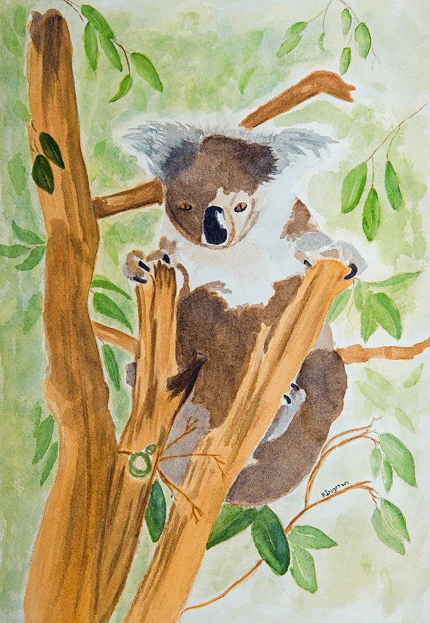 Koala in a gum tree  Painting by Elvira Ingram