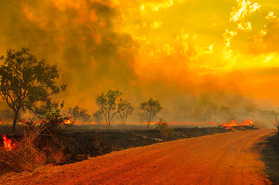 Australian bush fires Photograph by John Crux Photography
