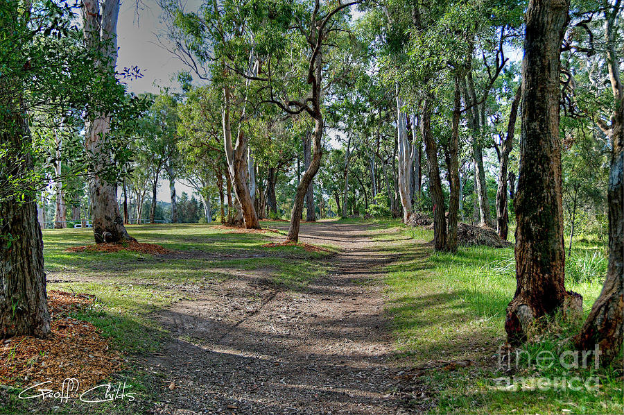 Australian Bush Track - Landscape. Photograph by Geoff Childs