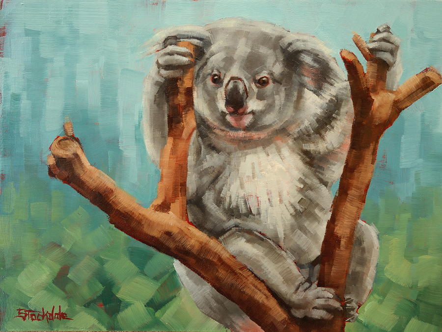 Australian Koala Painting by Margaret Stockdale