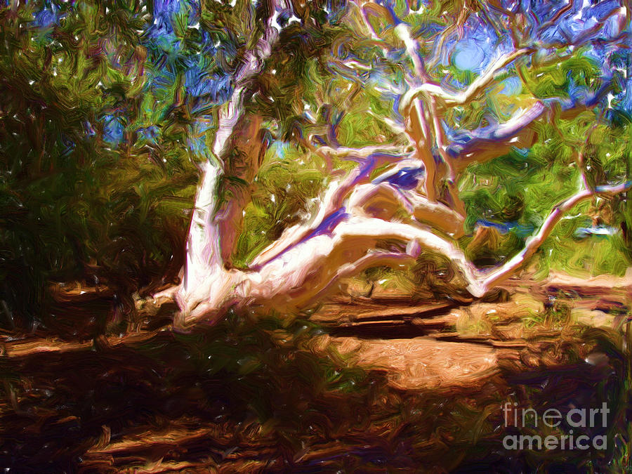 Australian Native Tree 1 Digital Art by Russell Kightley