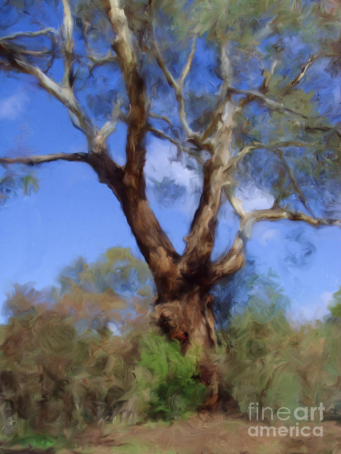 Australian Native Tree 10 Digital Art by Russell Kightley