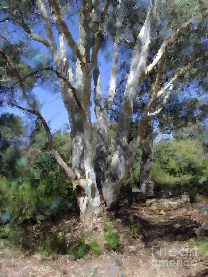 Australian Native Tree 5 Digital Art by Russell Kightley