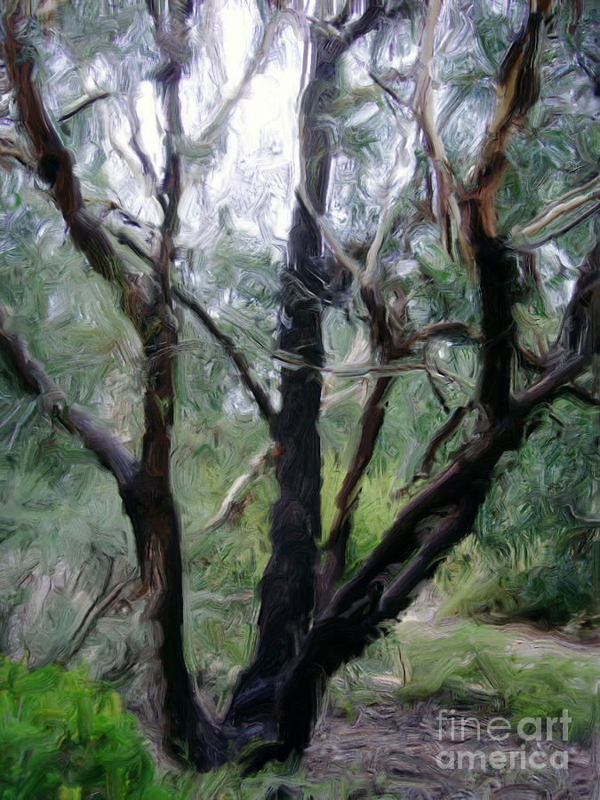 Australian Native Tree 6 Digital Art by Russell Kightley