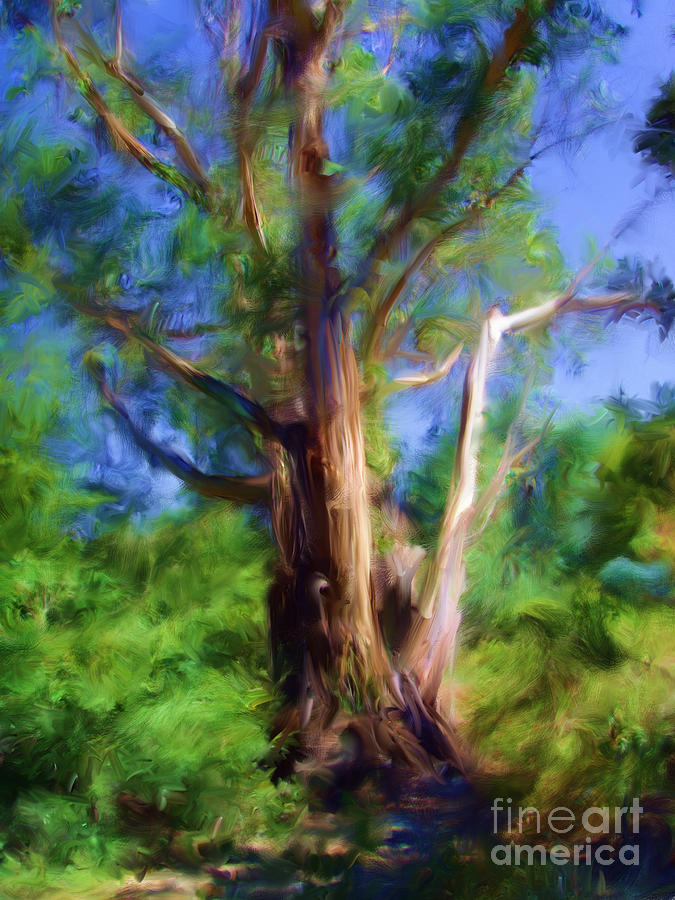 Australian Native Tree 7 Digital Art by Russell Kightley