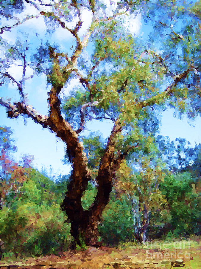 Australian Native Tree 8 Digital Art by Russell Kightley