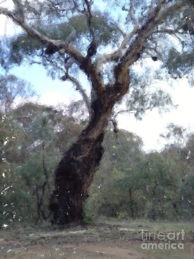 Australian Native Tree 9 Digital Art by Russell Kightley
