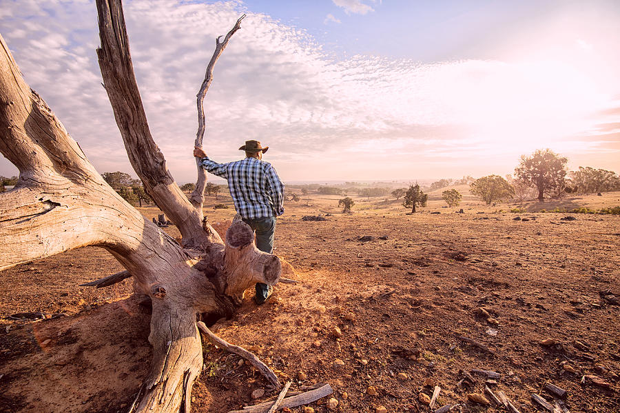 Australian Outback Farmer Photograph by VMJones