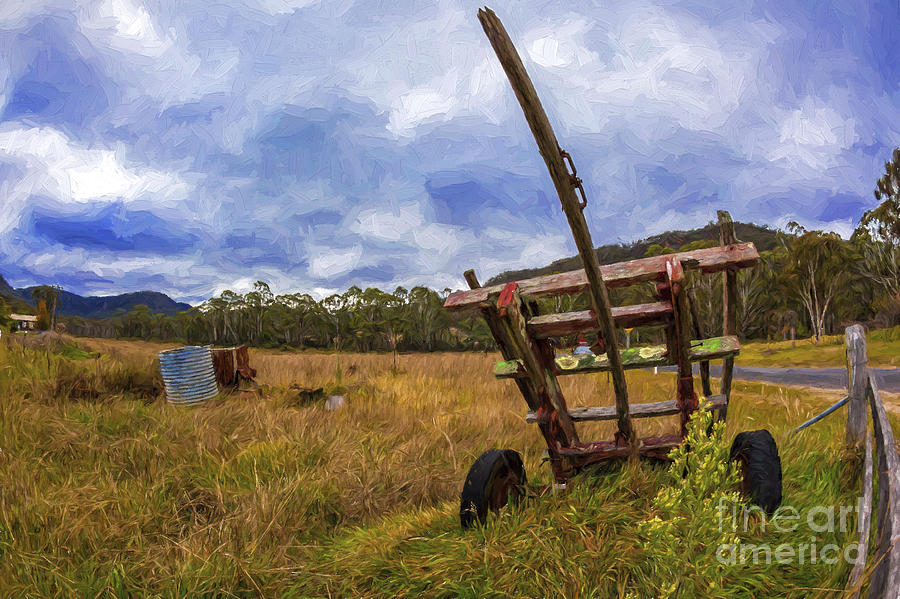 Australian paddock Photograph by Sheila Smart Fine Art Photography