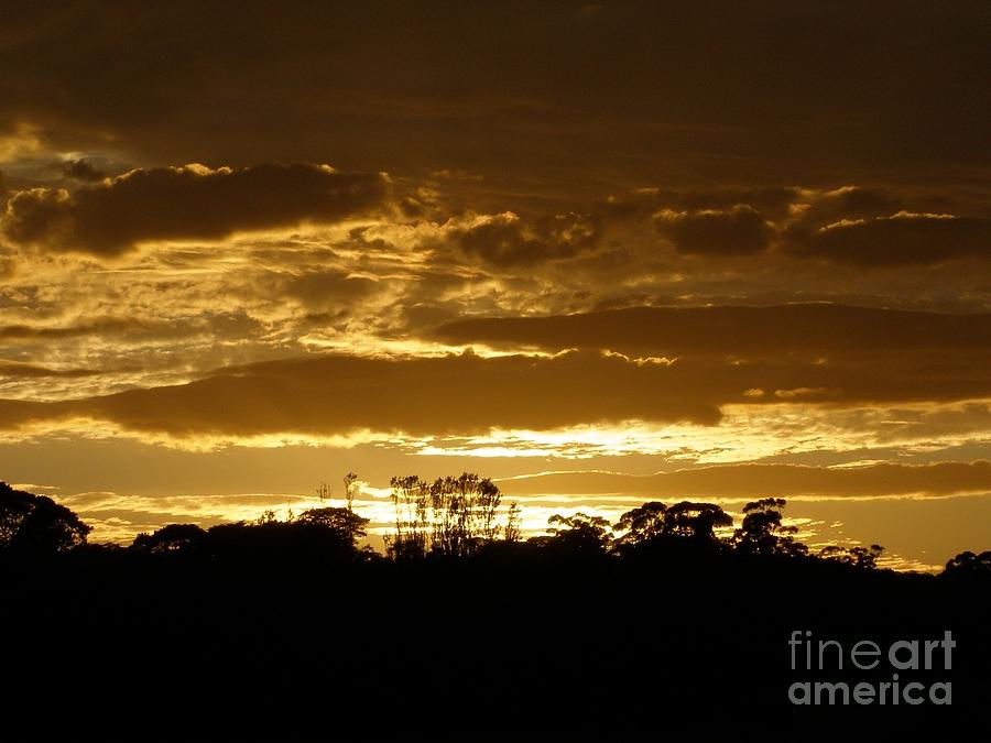 Australian Sunrise Photograph by Bev Conover