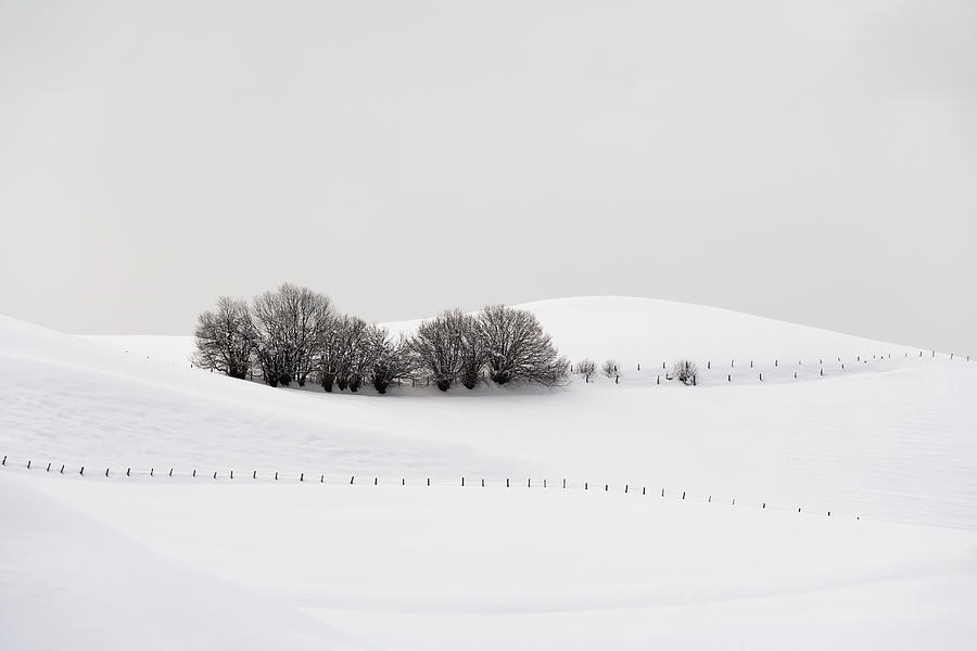 Austria, Maria Alm, Tranquil Winter Photograph by Mark De Leeuw