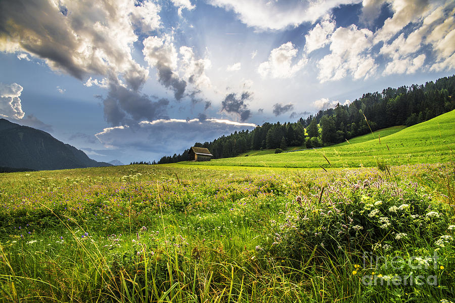 Austrian Fields Photograph by Yuri San