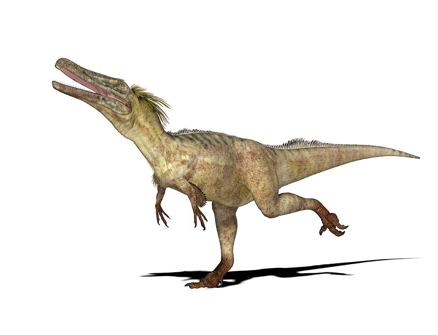Prehistoric Photograph - Austroraptor Dinosaur by Friedrich Saurer