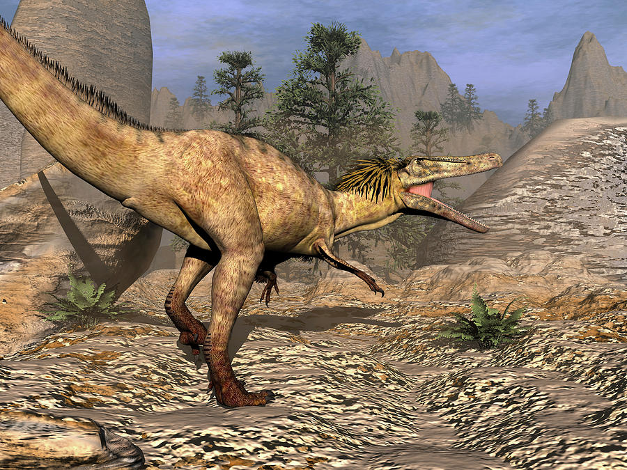 Austroraptor Dinosaur Walking Photograph by Elena Duvernay - Fine Art ...