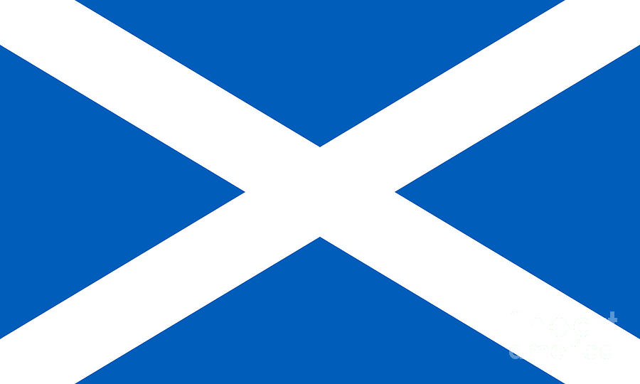 Scottish Flag of Scotland #2 Digital Art by Sterling Gold