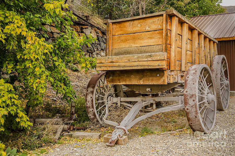 Authentic Ore Wagon Photograph by Sue Smith