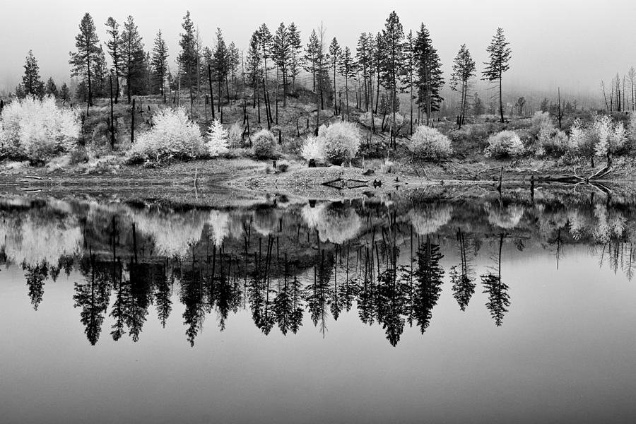 Autumn Reflection Black and White Photograph by Allan Van Gasbeck