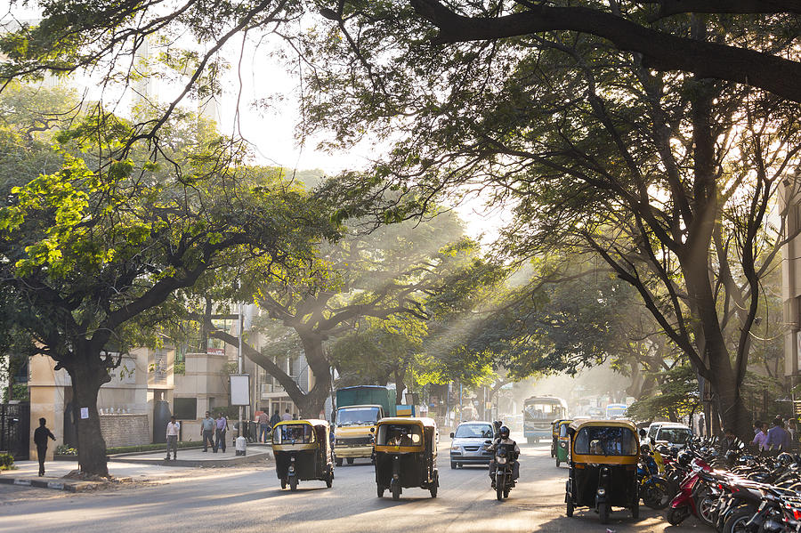 Auto Rickshaws, Tree Lined Street, Bangalore Photograph by Peter Adams