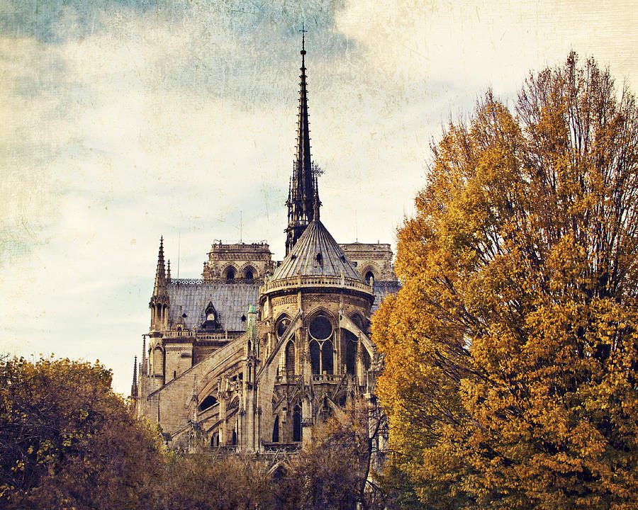Automne a Notre-Dame Photograph by Melanie Alexandra Price